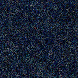 Pugirg Fenice 1223.jpg